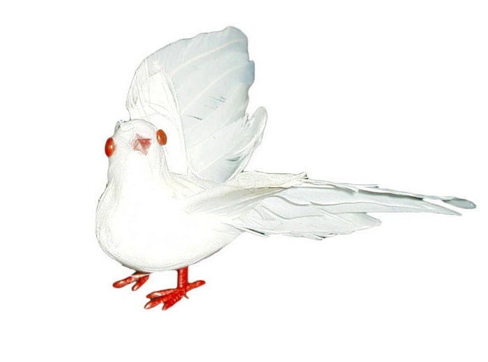 j2f-shop3172403