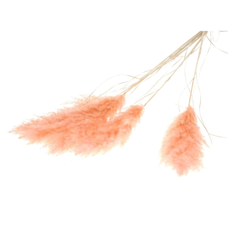j2f-shop3299609