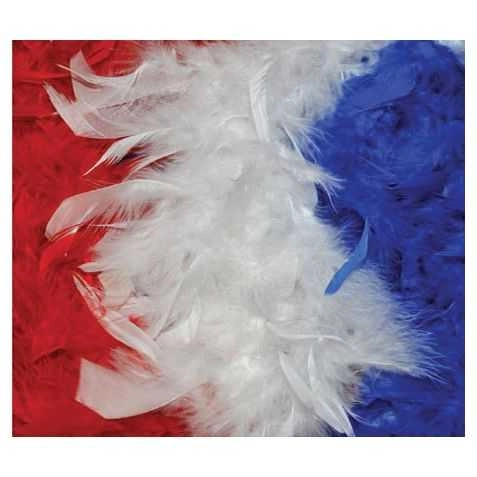 monsieur-paillettes3303564
