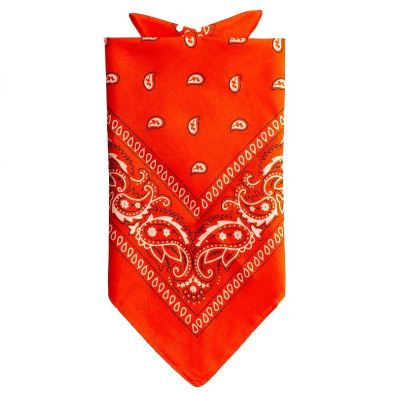 partywinkel3408848